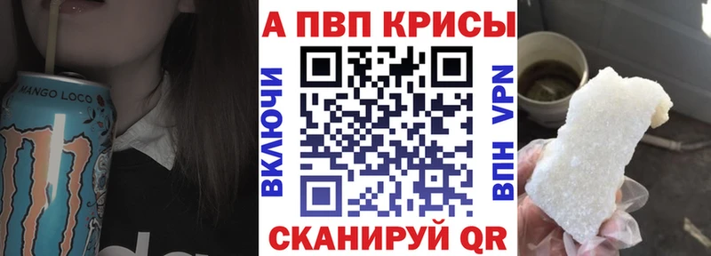 A PVP СК  Выборг 