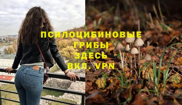 ALPHA PVP Ахтубинск