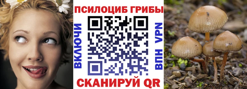 Псилоцибиновые грибы мухоморы  Выборг 