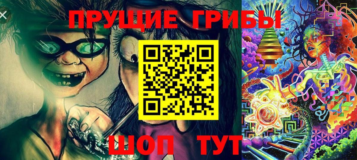 где купить наркоту  Галлюциногенные грибы ЛСД  Вход с VPN  Псилоцибиновые грибы мухоморы  Выборг 
