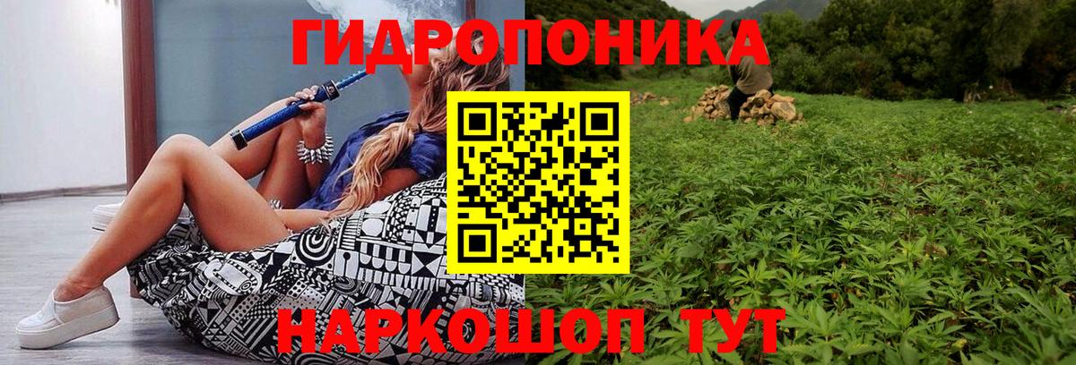 Шишки марихуана марихуана  Бошки марихуана THC 21%  Вход с VPN  Выборг  Бошки Шишки White Widow 